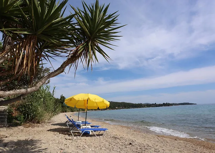 Dom wakacyjny Ocean Dream