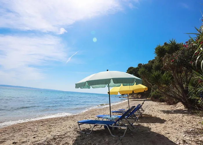 Ocean Dream Neos Marmaras